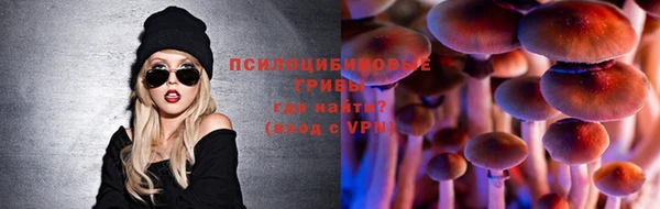 прущая мука Магас